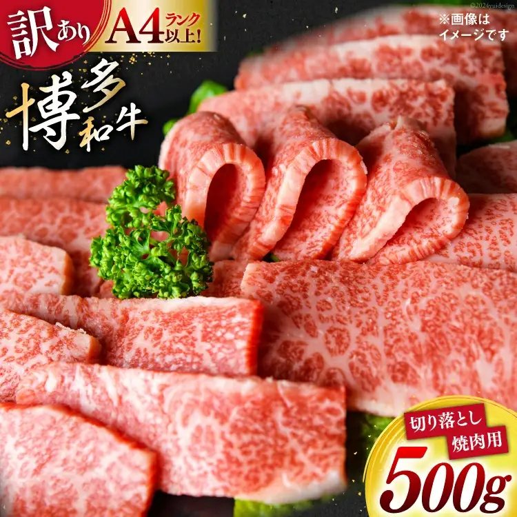 訳あり 博多和牛 A4～A5 切り落とし 焼肉 (肩ロース or バラ）500g 化粧箱 / MEAT PLUS / 福岡県 筑紫野市 [21760469]