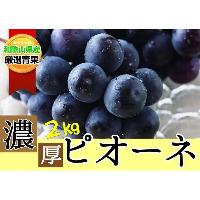 種なし ピオーネ 約2kg ぶどう 和歌山産 【甘さとみずみずしさが自慢】★8月下旬から9月下旬発送★【KF10】