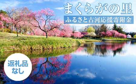 まくらがの里　ふるさと古河応援寄附金100,000円【返礼品なし】 _CV10