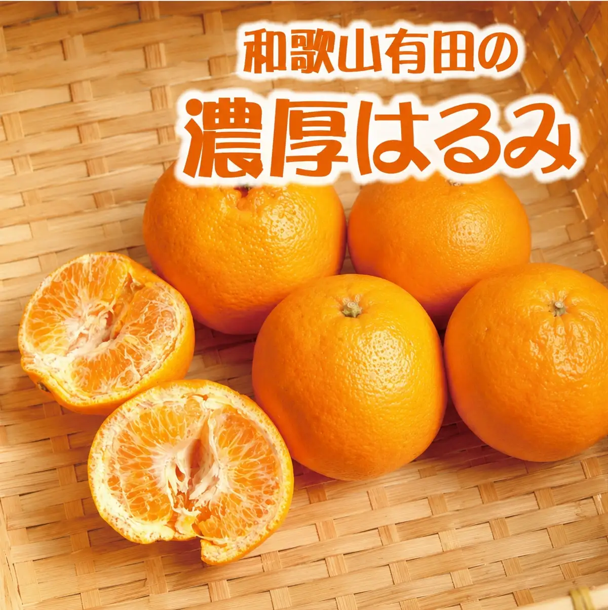  和歌山 有田の濃厚 はるみ　5kg (Lサイズ) / みかん 蜜柑 フルーツ 果物 ※2027年1月下旬～2月中旬順次発送予定 【ard013-noko-r-5B】