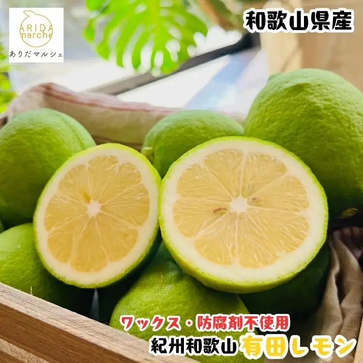 【先行予約】紀州 和歌山　有田 レモン 3kg+200g(傷み補償分) / 檸檬 柑橘 オレンジ フルーツ 果物 くだもの 旬 ※2026年9月下旬～2027年2月上旬に順次発送予定 ※北海道・沖縄・離島配送不可 【ard040-r-3A】