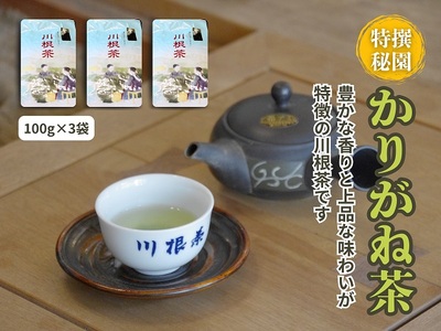 11-64 豊かな香り 上品な味わい「川根茶 特撰秘園かりがね」100g×3袋