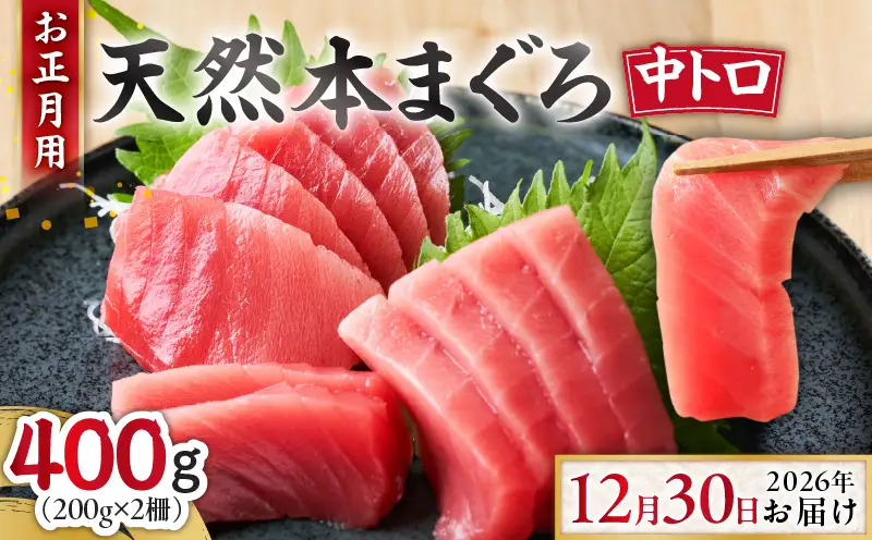 【 お正月用 C 】 天然本鮪 中とろ 2柵 （ 2026年12月30日 にお届け ） M005-052 冷凍 マグロ