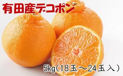 紀州 有田 産の デコポン 5kg (18玉～24玉入り・青秀以上)  ※2月中旬～3月中旬頃順次発送 /柑橘 不知火 フルーツ 果物 【tec810B】