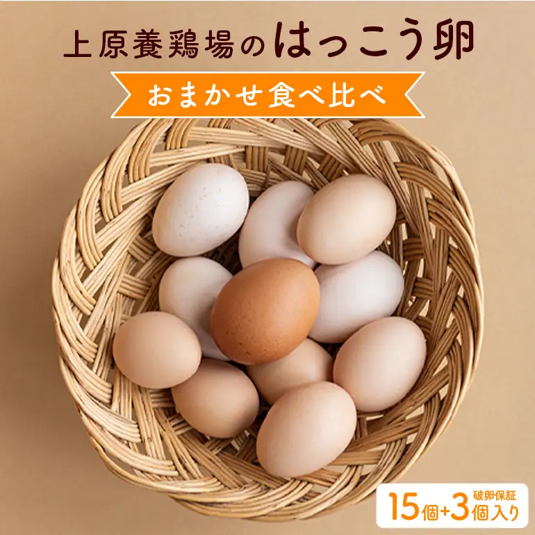 訳あり はっこう卵 3～4種 おまかせ 食べ比べ 15個 +破卵保障3個 卵 種類 サイズ お任せ 訳アリ 3種 4種 白卵 赤卵 青卵 烏骨鶏 有精卵 軍鶏 アローカナ たまご タマゴ 食比べ 生卵 味卵 目玉焼き ゆで卵 沖縄 産地直送 上原養鶏場 沖縄県 糸満市 115-1
