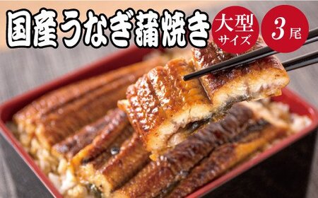 【大型サイズ】ふっくら柔らか 国産うなぎ蒲焼き 3尾/うなぎ ウナギ 鰻 うなぎ蒲焼 国産 【uot303A-3】