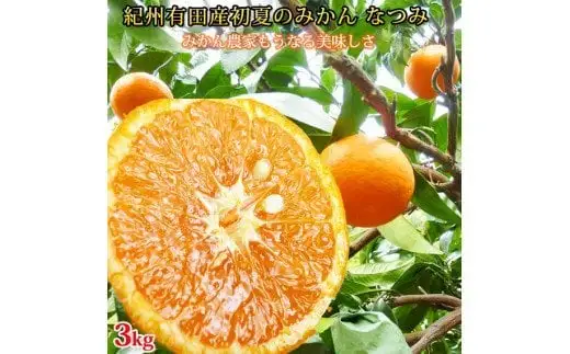  初夏の みかん なつみ 3kg / みかん 甘い 柑橘 有田 和歌山 果物 ※2027年4月中旬頃〜4月下旬頃順次発送予定（お届け日指定不可） ※離島への配送不可 【uot753A】