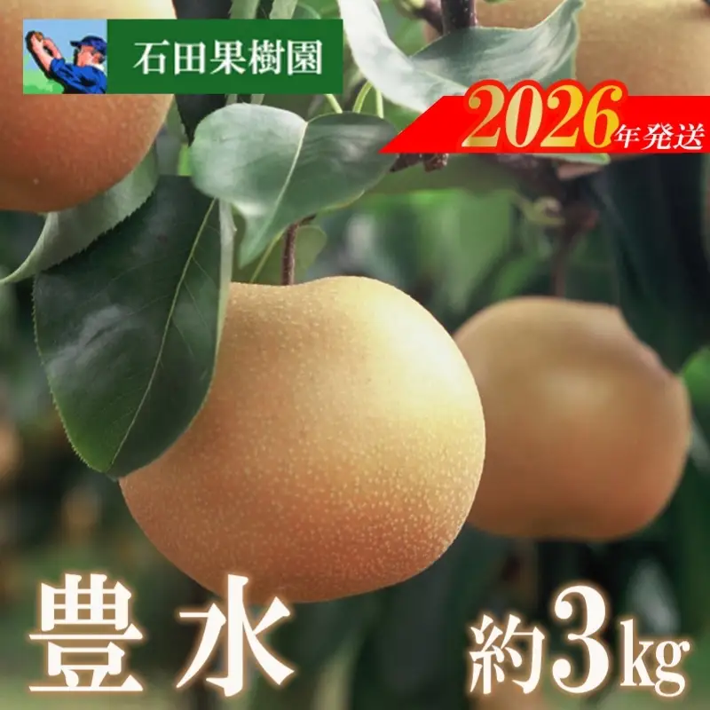 No.2737梨　豊水　3kg【2026年発送】