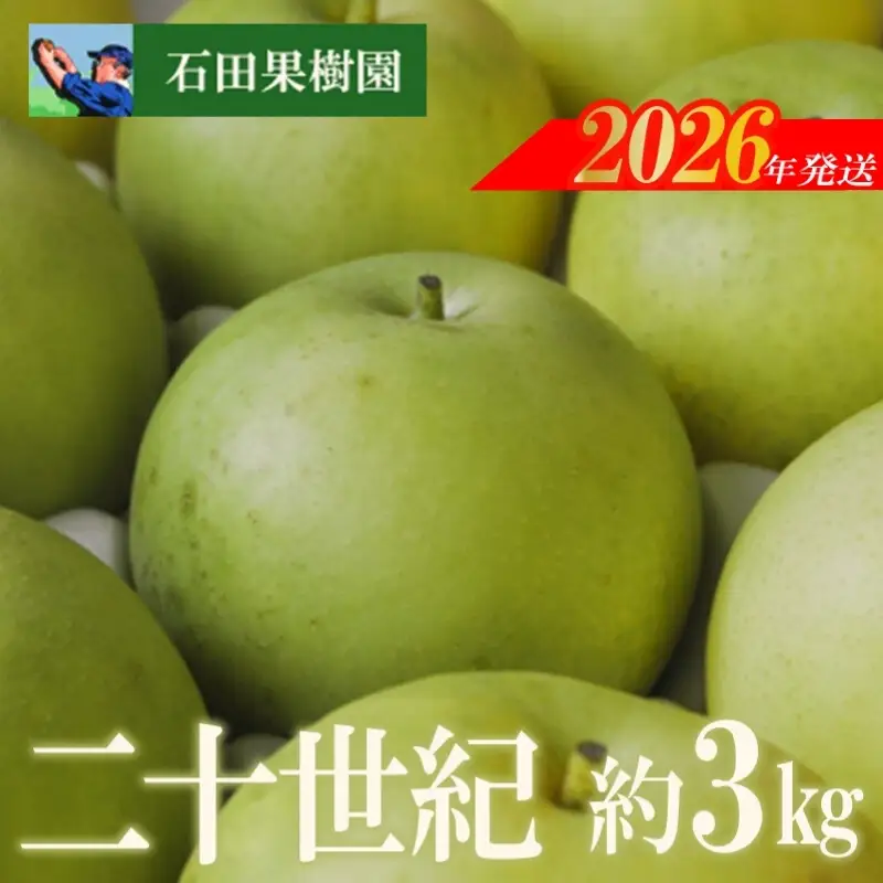 No.2739梨　二十世紀　3kg【2026年発送】