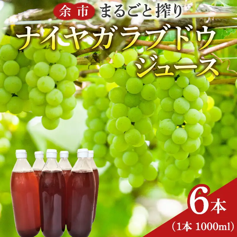 余市まるごと搾り　ナイヤガラブドウジュース　6本セット_Y015-0029