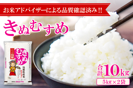 令和7年産 美郷きぬむすめ 10kg（5kg×2袋）【米 お米 精米 白米 ブランド米 きぬむすめ 10kg 5kg×2袋 2025年産】