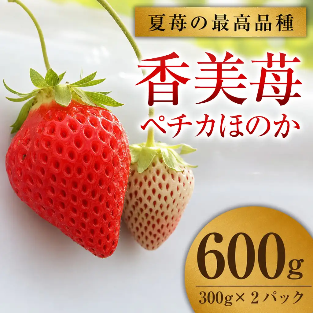 【先行予約】《期間限定》ペチカほのか 300g（12～24粒）2パック【令和8年7月下旬以降発送予定】 いちご イチゴ 18-06