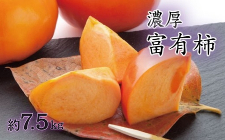 柿 濃厚！富有柿　秀品　M～Ｌサイズ　約7.5kg入り【2026年11月中旬～12月上旬】【AA19-ard013D】