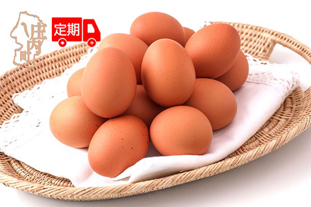 【6か月定期便】スズキのたまご 地養卵 30個 MS～Lサイズ 新鮮 卵 たまご 鶏卵 生卵 地養卵 赤たまご 定期【7月中旬発送/入金期限：2026年6月25日】