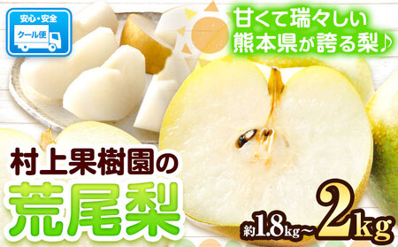 梨 なし 荒尾梨 約1.8～2kg 果物 和梨 村上果樹園 あきづき 甘太 秋麗 【品種の指定不可】 《8月上旬-9月末頃出荷》熊本県 荒尾市 2kg 前後 果物 フルーツ 旬 荒尾市産 国産 冷蔵 ギフト 贈り物 お中元 送料無料 美味しい梨 旬の梨 ジューシー梨 フルーツ梨