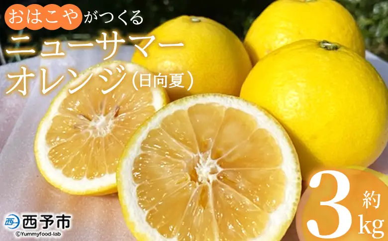 おはこやがつくる ニューサマーオレンジ（日向夏） 約3kg（L～3Lサイズ