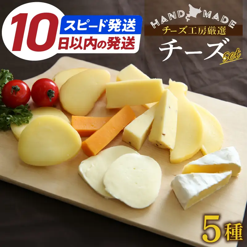 《10日以内発送》チーズ詰め合わせ チーズ_H0003-101