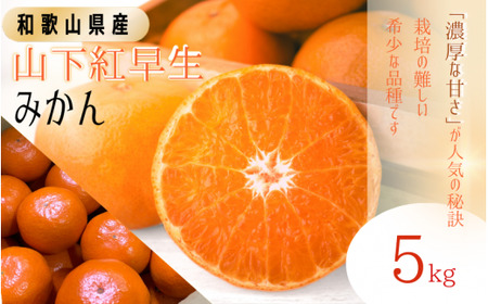 【先行予約】秀品 「紅娘」 温州 みかん  山下紅早生 5kg 【S~2Lサイズおまかせ】【2026年11月中旬～2026年12月中旬までに順次発送】＜味好農園＞ /温州みかん みかん 蜜柑 柑橘 山下早生 早生 秀品 紅早生 フルーツ 果物 くだもの 希少【agy004-beni-5】