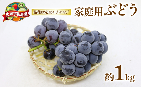 ぶどう 1kg マル南フルーツ [F010-106031] ぶどう