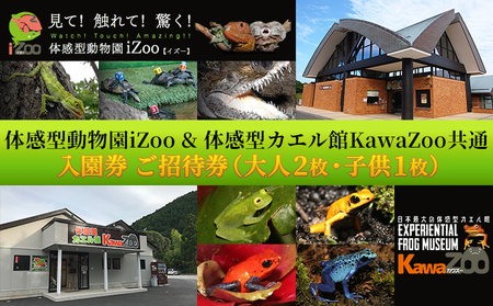 動物園 イズー カワズー 大人 2枚 子供 1枚 入園券 体験 体験型 チケット ギフト券