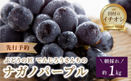 先行予約  ナガノパープル 1kg ぶどう フルーツ 福島県 田村市 