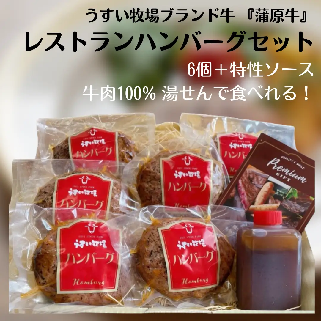 蒲原牛 レストラン ハンバーグ セット (6個)  ハンバーグソース 付き 湯煎 電子レンジ 父の日 1T04016
