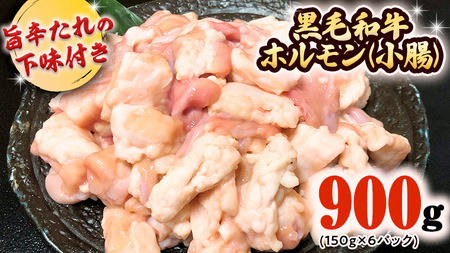 茨城県産 黒毛和牛 ホルモン 小腸 900g （150g × 6パック） 旨辛たれ 下味付き BBQ バーベキュー 焼肉 冷凍 小分け [AU078ya]