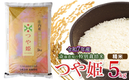 【令和7年産】 斎藤農場の特別栽培米 つや姫 5kg(5kg×1袋) 山形県鶴岡市 [K-756]