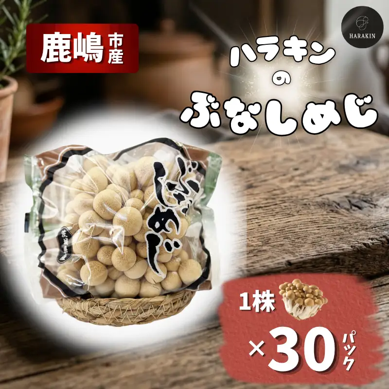 歯ごたえ抜群！ブナシメジ　KL-2