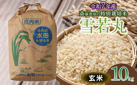 【令和7年産】斎藤農場の特別栽培米 雪若丸 玄米 10kg 山形県鶴岡市 [K-7117]