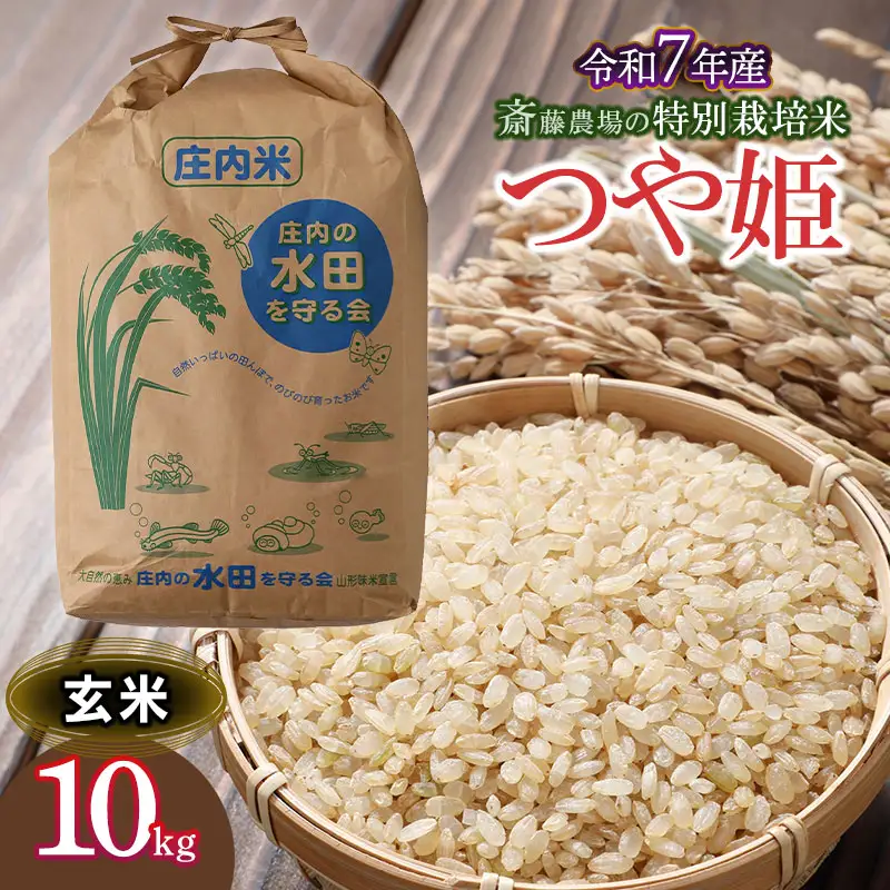 【令和7年産】 斎藤農場の特別栽培米 つや姫 玄米 10kg 山形県鶴岡市 [K-7117]