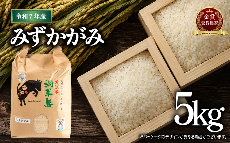 米 令和7年産 みずかがみ 5kg 白米 【KK010】 近江米 精米 お米