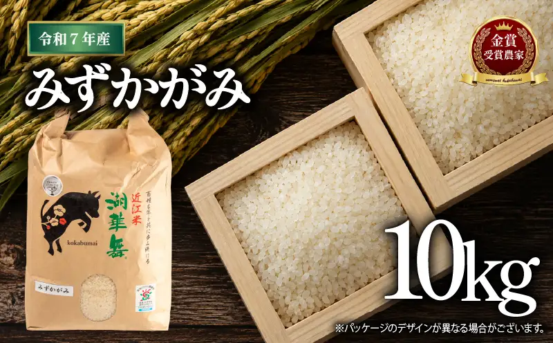 令和7年産 米 10kg みずかがみ【KK010】 近江米 精米 お米