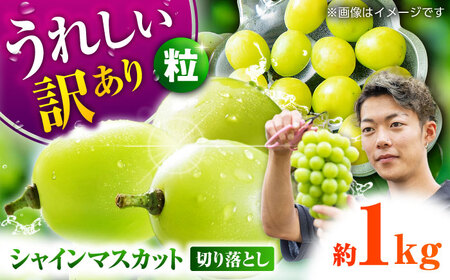 【先行予約】 訳あり シャインマスカット 切り落とし 約1kg  【合同会社 社方園】切り落とし ぶどう フルーツ 熊本県産 国産シャインマスカット [ZBZ006]