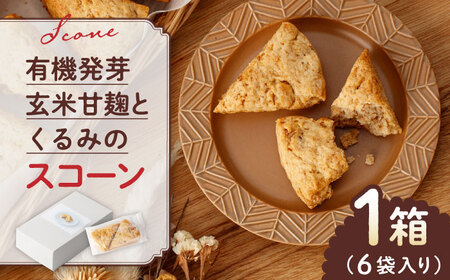 有機発芽玄米甘麹とくるみのスコーン【BANBA BON BONS】山鹿 スコーン クルミ 発芽玄米 スイーツ[ZDW001]