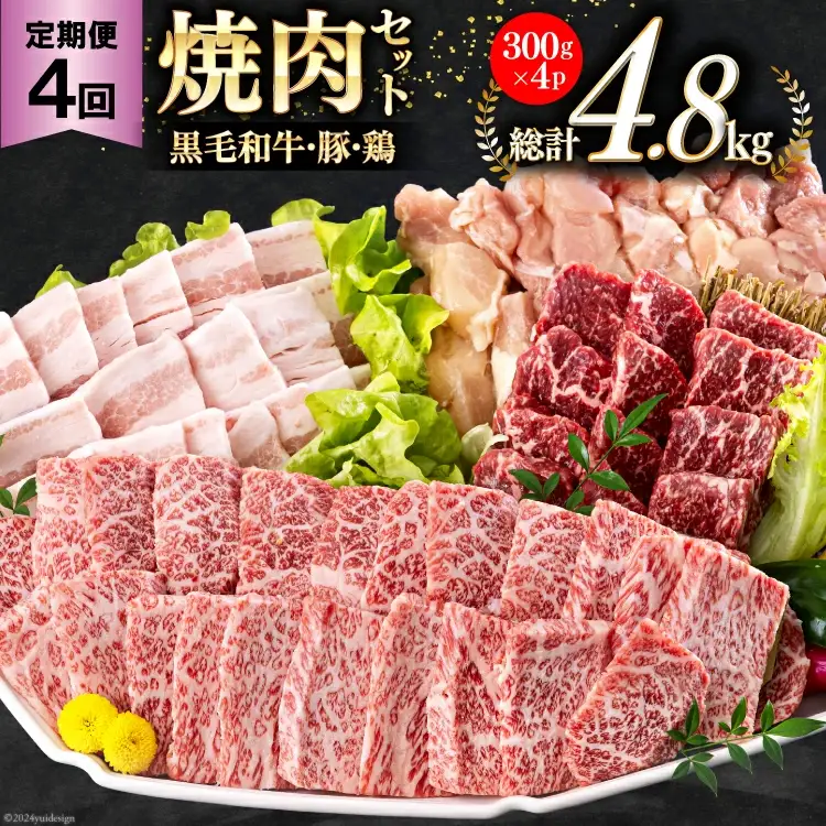 4回 定期便 宮崎県産 焼肉 セット 黒毛和牛 モモ カルビ 豚バラ 若鶏 モモ 合計4.8kg 各300g [サンアグリフーズ 宮崎県 美郷町 31ba0037]