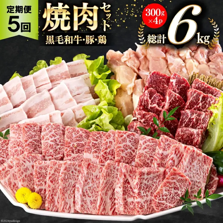 牛肉 5回 定期便 宮崎県産 焼肉 セット 黒毛和牛 モモ カルビ 豚バラ 若鶏 モモ 各 300g 計 6kg [サンアグリフーズ 宮崎県 美郷町 31ba0038]