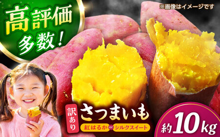 紅はるかorシルクスイート蜜芋10kg サツマイモさつまいも国産 ZCN001