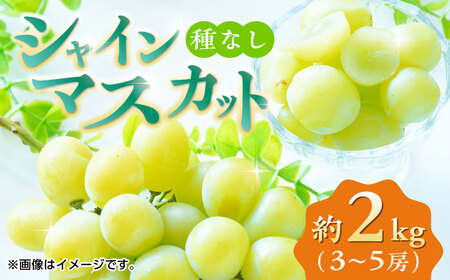 【先行予約】シャインマスカット 約2kg （3から5房） ぶどう 種なし【合同会社 福福堂】[ZCN008]