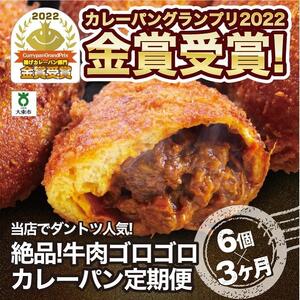 【3か月定期便】カレーパン 6個 牛肉 ゴロゴロ グランプリ 金賞受賞