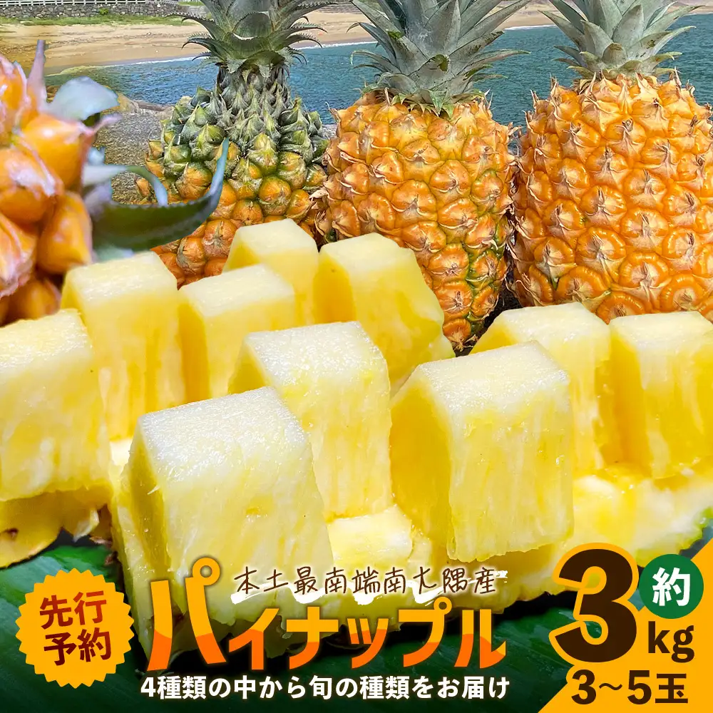 【先行予約・数量限定！】国産パイナップル　約3ｋg（3～5玉）～なか農園おまかせセット～ NK-001 ｜パイナップル パイン フルーツ 果物 くだもの 先行予約 数量限定 産地直送 新鮮 旬 ハワイ種 ピーチパイン ゴールドダイヤモンド ボゴール なか農園 鹿児島県 南大隅 