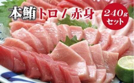 本マグロ（養殖）トロ＆赤身セット 240g 【１ヶ月以内に順次発送)】/ 本マグロ 冷凍 まぐろ マグロ 鮪 中トロ 赤身 【nks113B】