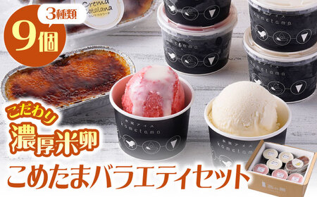 【こだわり濃厚米卵と地元特産フルーツ使用！】こめたまバラエティセット３種９個入り デザート スイーツ お菓子 アイス ギフト  【氷窯アイス こめたま】[GF02]