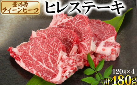 豊の香 クイーンビーフ ヒレステーキ 480g （120g×4枚） 国産 黒毛和牛 経産牛 お楽しみ 牛肉 お肉 人気 九州 ＜150-001＞