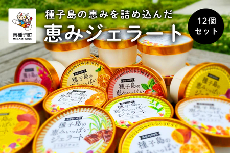 恵みジェラート12個セット【種子島ジェラートＨＯＰＥ】