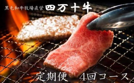 26-274．黒毛和牛牧場直営　-四万十牛-　定期便4回