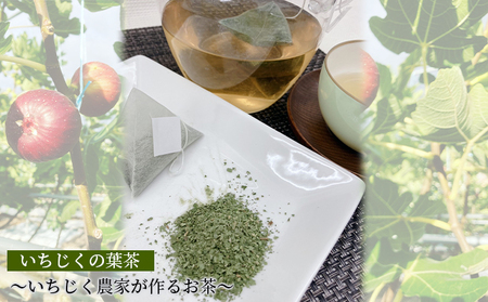 いちじくの葉茶～いちじく農家が作るお茶～ 飲料類 飲み物 ドリンク 植物茶 無花果葉 飲みやすい ティーバッグ ドーフィン品種 
