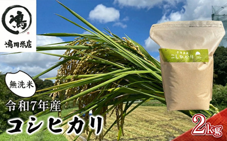 最短出荷 2日から7日以内に発送 コシヒカリ　無洗米　2kg　令和7年産 お米 精米 ご飯 美味しい 粘り つやつや 甘み 