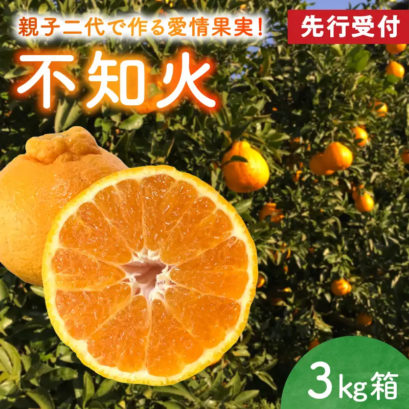 S142-002A_不知火 約3kg箱【先行受付】