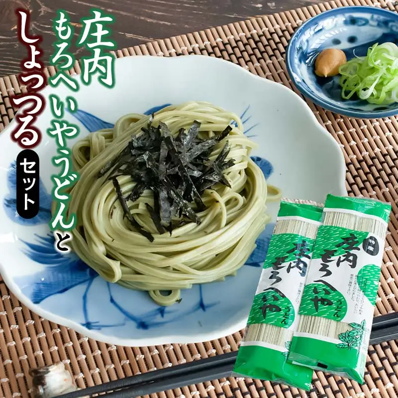 庄内もろへいやうどん と しょっつるセット　A05-506